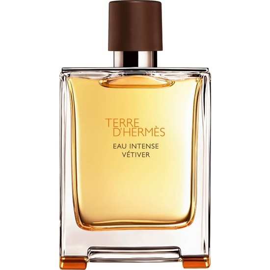 Hermes Terre D'hermes  Eau Intense Vetiver  EDP Spray 3.3 oz 100 ml