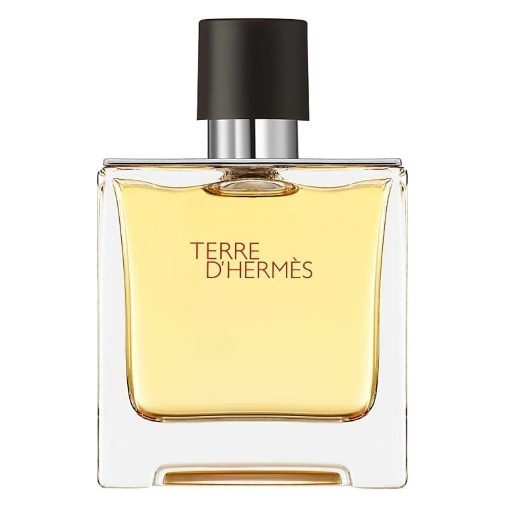 Hermes Terre D'hermes  / Pure Perfume Spray 2.5 oz 75 ml