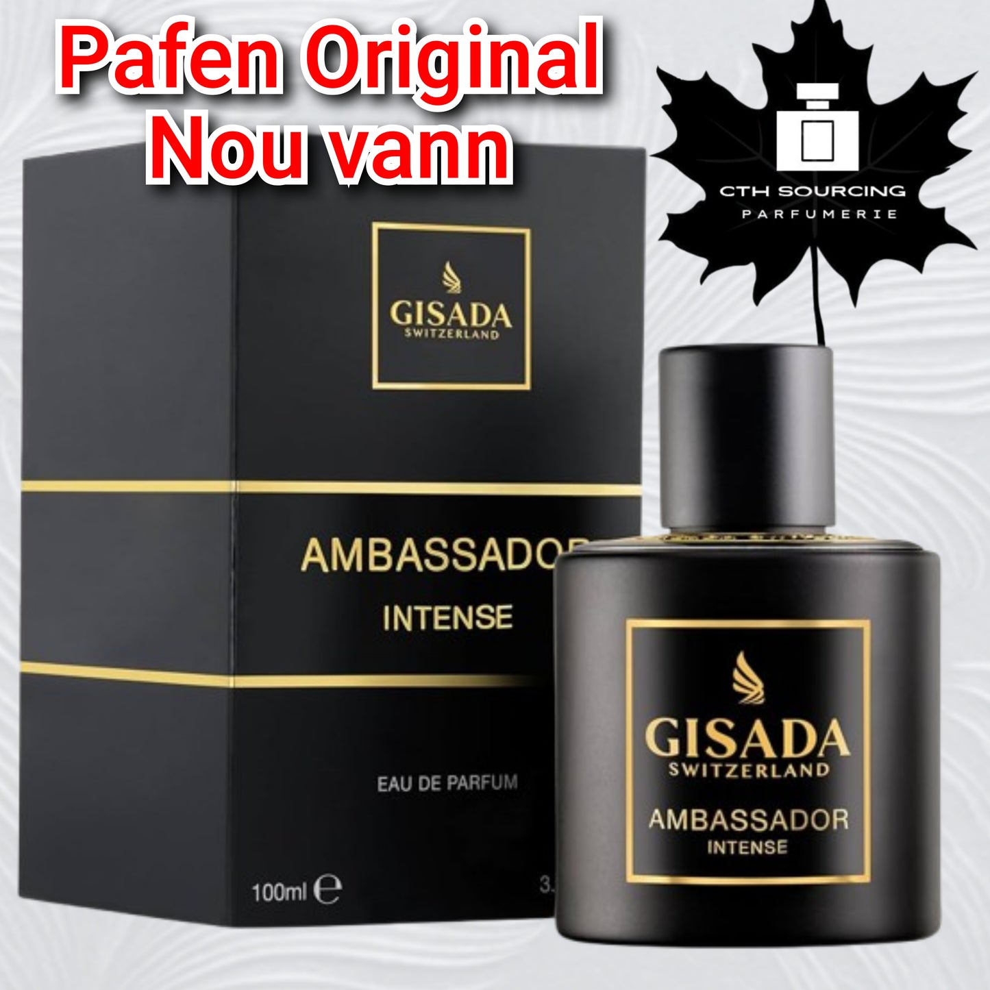 Gisada Ambassador Intense Matt Black Eau de Parfum for Men (3.4 oz)